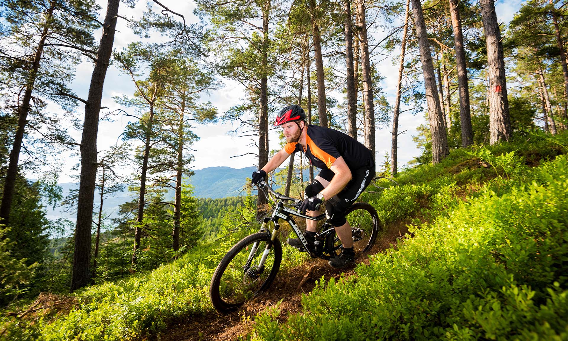 Nordfjord Stisenter – stisykling i Gloppen